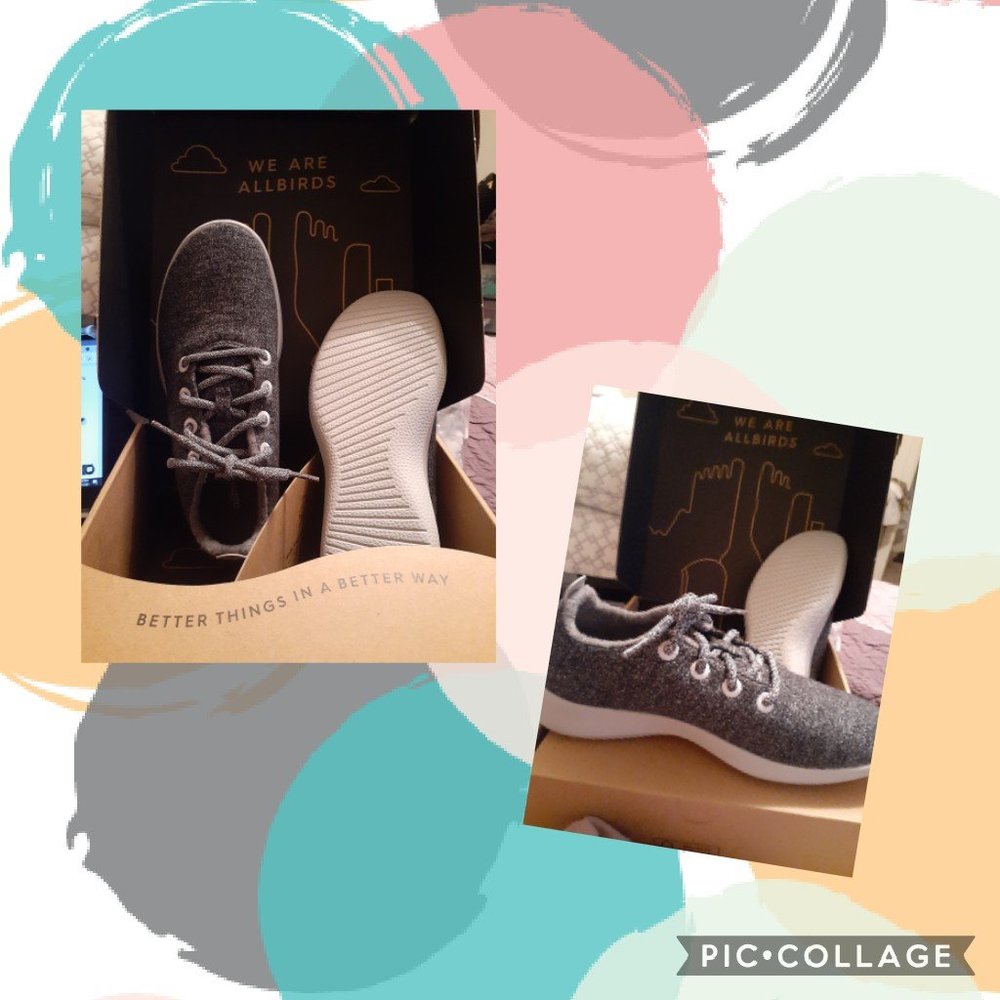 Be "Fly" in these allbirds